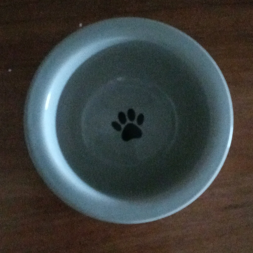 Dog bowl